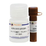 碧云天 抗荧光淬灭封片液(强)(P0128S)