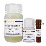碧云天 免疫荧光染色试剂盒-抗兔AMCA(P0175A)