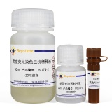 碧云天 免疫荧光染色试剂盒-抗兔Alexa Fluor 488(P0176)
