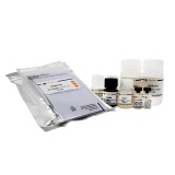 碧云天 Human ApoE ELISA Kit(人ApoE ELISA试剂盒)(PA030)