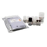 碧云天 Human BMP-9 ELISA Kit (人 BMP-9 ELISA试剂盒)(PB060)