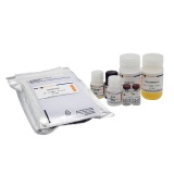 碧云天 Human CRP ELISA Kit(人CRP ELISA试剂盒)(PC190)