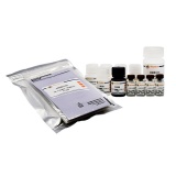 碧云天 Human FGF-23 ELISA Kit(人FGF-23 ELISA试剂盒)(PF300)