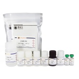 碧云天 Mouse IFN-γ ELISA Kit (小鼠 IFN-γ ELISA试剂盒，High-sensitive)(PI507)