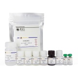 碧云天 Mouse IL-12 p70 ELISA Kit(小鼠IL-12 p70 ELISA试剂盒)(PI530)