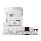 碧云天 Human IL-13 ELISA Kit (人IL-13 ELISA试剂盒)(PI543)