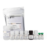 碧云天 Mouse IL-1α ELISA Kit (小鼠 IL-1α ELISA试剂盒)(PI561)