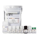 碧云天 Human IL-1α ELISA Kit(人IL-1α ELISA试剂盒)(PI565)