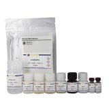 碧云天 Mouse IL-5 ELISA Kit(小鼠IL-5 ELISA试剂盒)(PI620)
