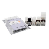 碧云天 Human SOST/Sclerostin ELISA Kit (人SOST/Sclerostin ELISA试剂盒)(PS835)