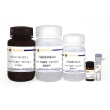 碧云天 SDS-PAGE凝胶快速配制试剂盒(P0012AC)