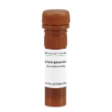 Biofroxx 2109GR001 D-荧光素钾盐D-Luciferin potassium salt -20度