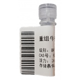 重组牛碳酸酐酶