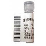 重组嗜热碳酸酐酶-1