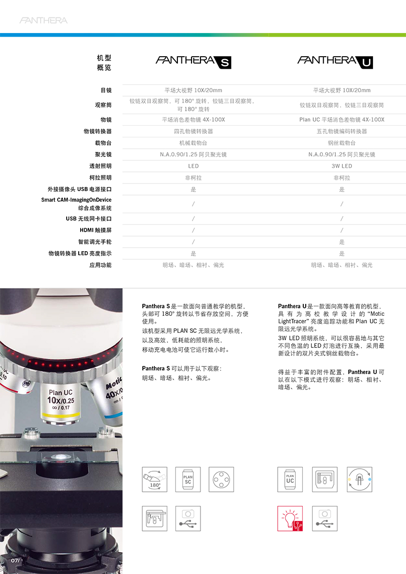 Panthera -8.jpg