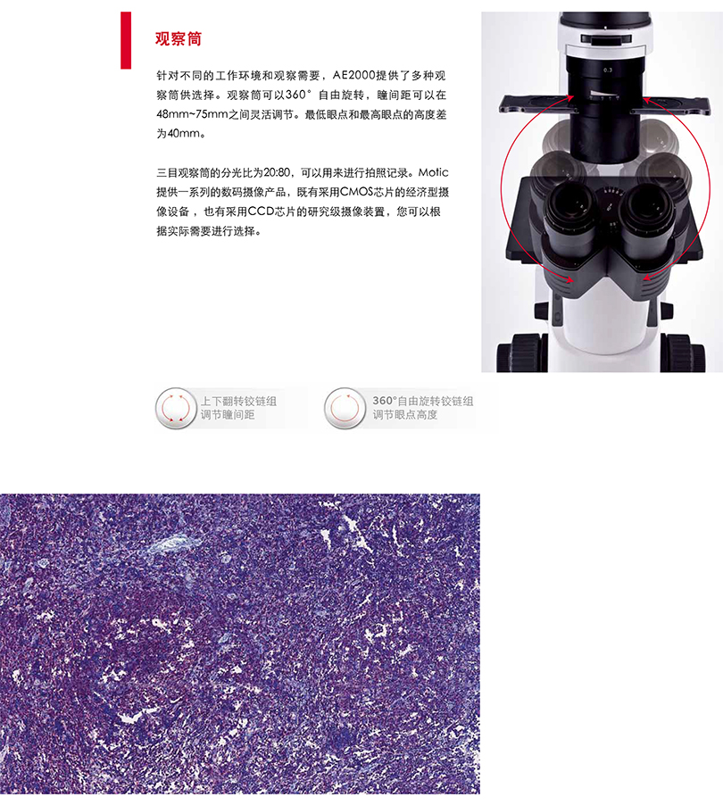 AE2000倒置生物显微镜-5.jpg