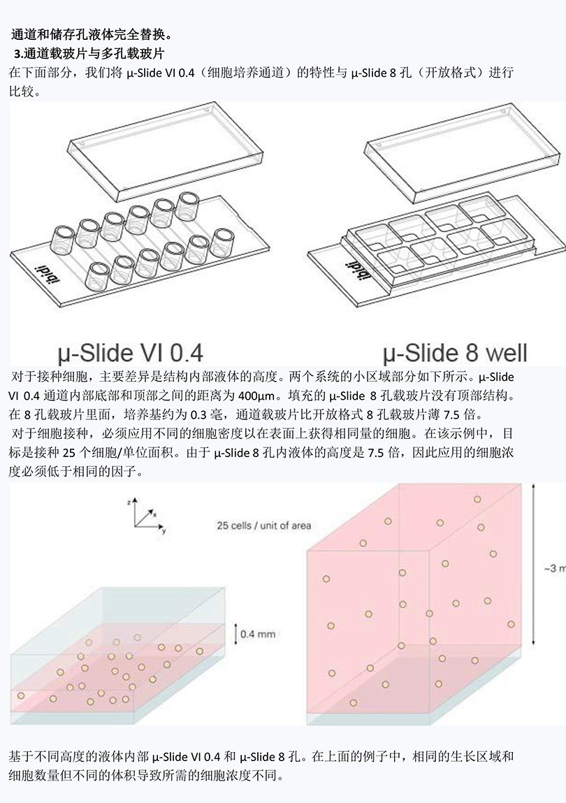 本应用简报说明了如何在细胞培养微通道内生长贴壁细胞-3.jpg